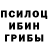 Галлюциногенные грибы Psilocybe Tesak Chenski