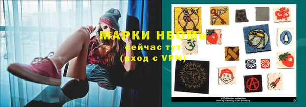 гидра Гусев