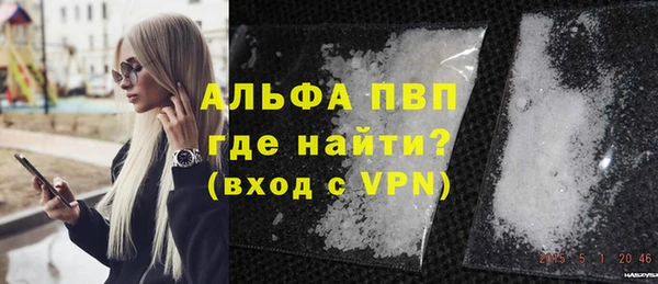сатива Дмитриев