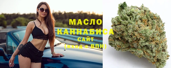сатива Дмитриев